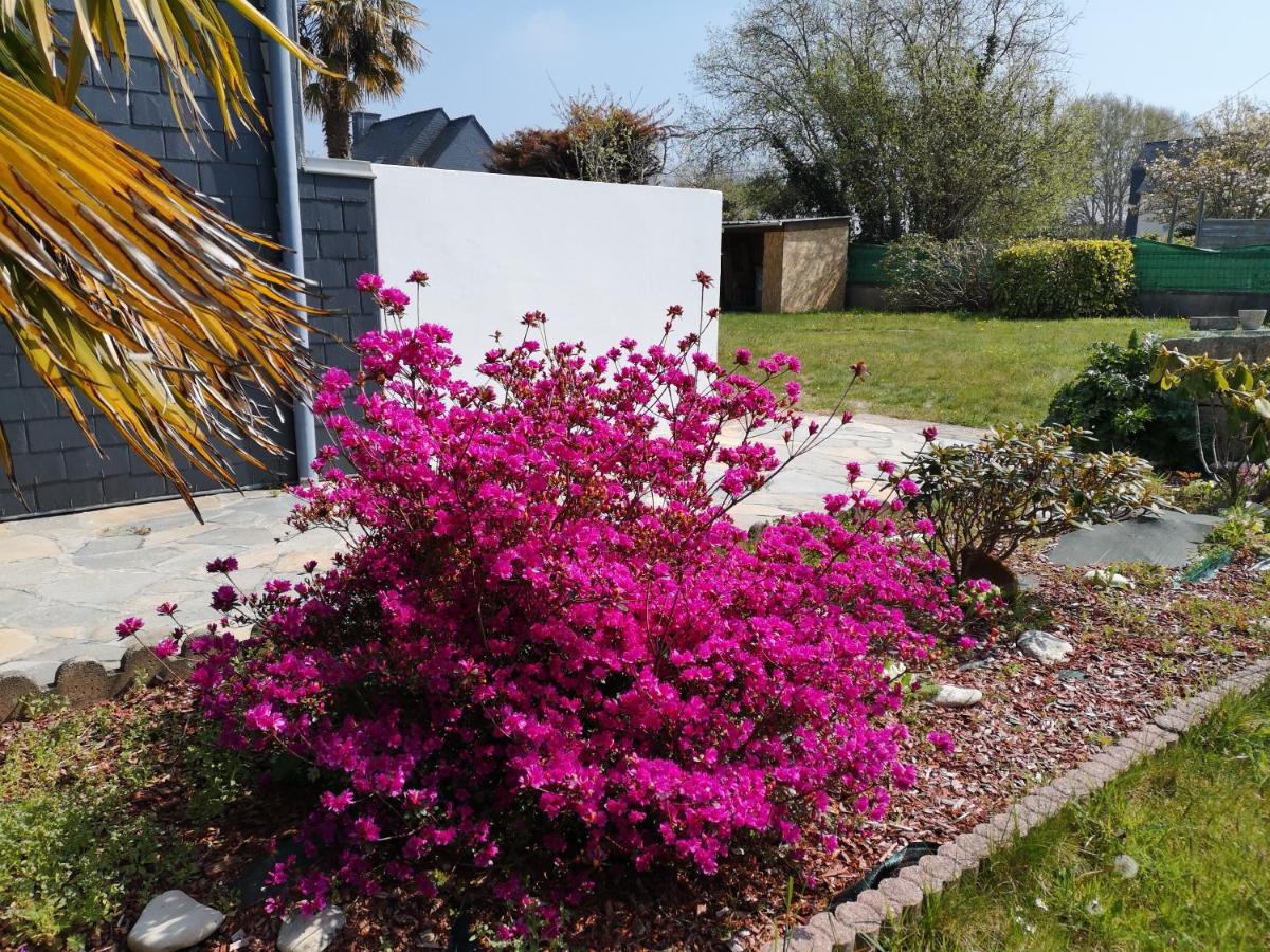 Maison An Neizig Île-Tudy Εξωτερικό φωτογραφία